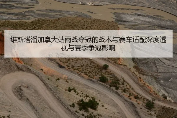 维斯塔潘加拿大站雨战夺冠的战术与赛车适配深度透视与赛季争冠影响